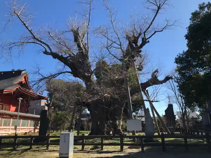 飯香岡八幡宮(千葉県)