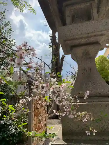 氷川鍬神社(埼玉県)