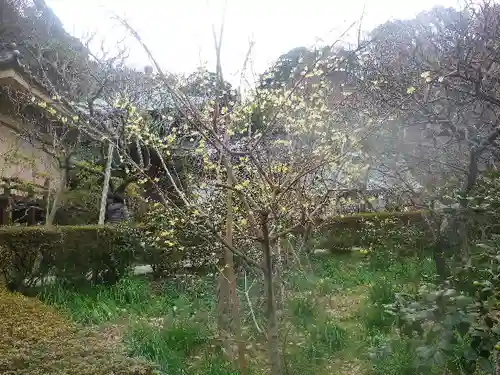 瑞泉寺の庭園