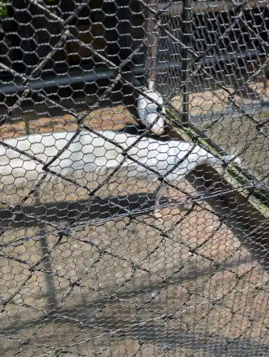 楽法寺(雨引観音)(茨城県)