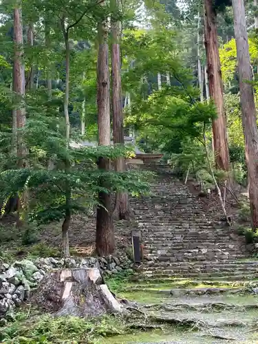 高山寺(京都府)