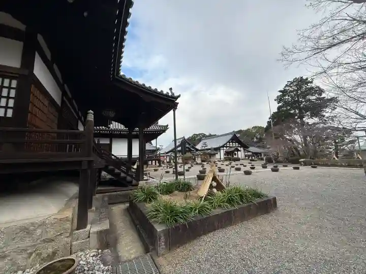 當麻寺 奥院の{uncategorized: "未分類", other: "その他", undefined: "問題あり", building: "その他建物", grave: "お墓", sacred_gate: "鳥居", guardian: "狛犬", statue: "像", buddha: "仏像", history: "歴史", nature: "自然", garden: "庭園", animal: "動物", pagoda: "塔", temizu: "手水舎", mountain_gate: "山門・神門", sanctuary: "本殿・本堂", subordinate: "末社・摂社", art: "芸術", scenery: "景色", jizo: "地蔵", ema: "絵馬", goshuin: "御朱印", omikuji: "おみくじ", items: "授与品その他", amulet: "お守り", goshuincho: "御朱印帳", eats: "食事", festival: "お祭り", votive_dance: "神楽", shichigosan: "七五三参", wedding: "結婚式", experience: "体験その他", initially: "初詣", around: "周辺", anti_infection: "感染症対策"}