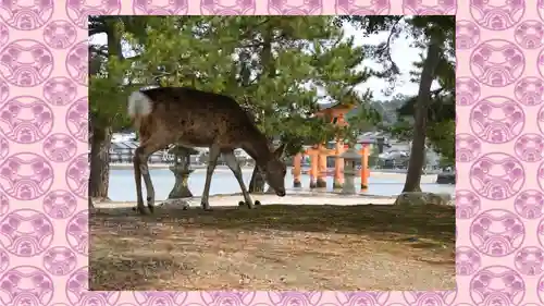 厳島神社(広島県)