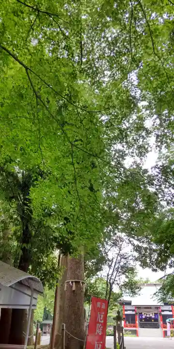 金ヶ作熊野神社(千葉県)