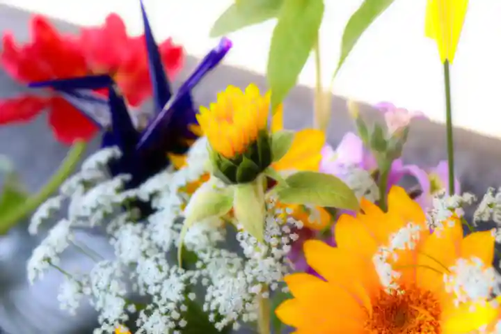 三津厳島神社の手水舎
