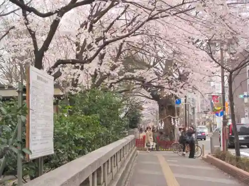 大國魂神社の周辺