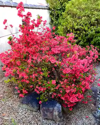 崇道天皇社(奈良県)