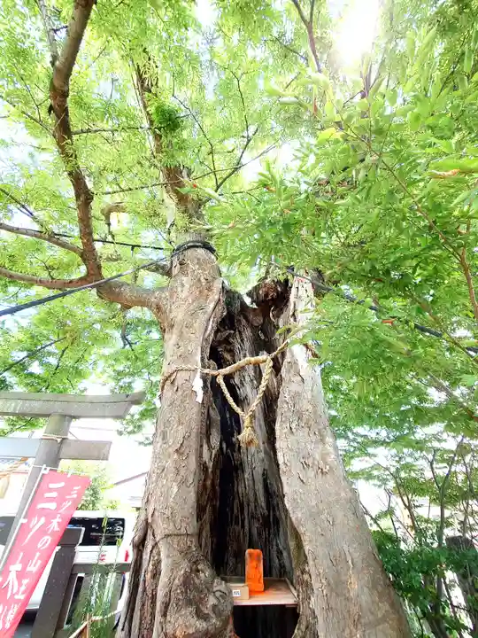 三ツ木神社(埼玉県)