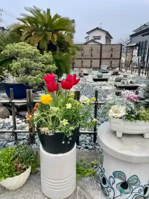 安国院の{uncategorized: "未分類", other: "その他", undefined: "問題あり", building: "その他建物", grave: "お墓", sacred_gate: "鳥居", guardian: "狛犬", statue: "像", buddha: "仏像", history: "歴史", nature: "自然", garden: "庭園", animal: "動物", pagoda: "塔", temizu: "手水舎", mountain_gate: "山門・神門", sanctuary: "本殿・本堂", subordinate: "末社・摂社", art: "芸術", scenery: "景色", jizo: "地蔵", ema: "絵馬", goshuin: "御朱印", omikuji: "おみくじ", items: "授与品その他", amulet: "お守り", goshuincho: "御朱印帳", eats: "食事", festival: "お祭り", votive_dance: "神楽", shichigosan: "七五三参", wedding: "結婚式", experience: "体験その他", initially: "初詣", around: "周辺", anti_infection: "感染症対策"}