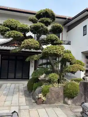 円頓寺(愛知県)