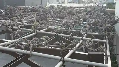 西方山極楽寺(岐阜県)