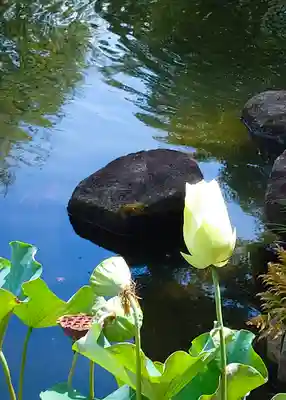 長谷寺(神奈川県)