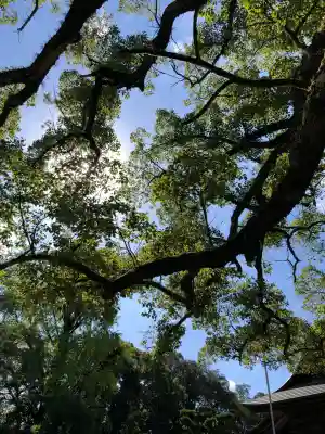 大原八幡宮(大分県)
