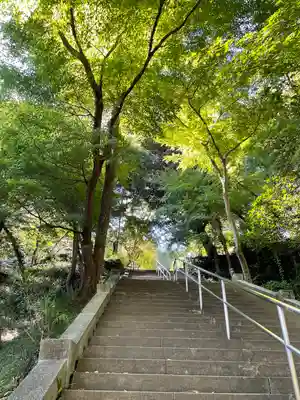 金龍寺(群馬県)