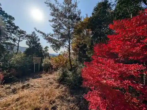 旧妙見宮奥之院（巌屋神社）(愛知県)