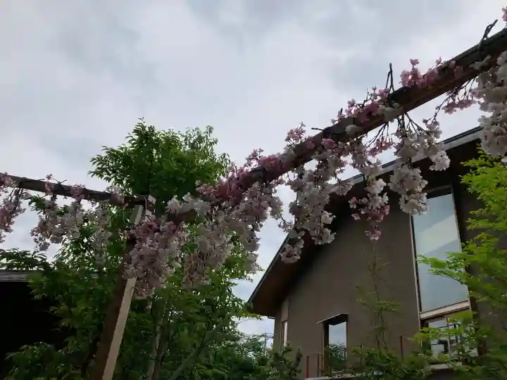 川越氷川神社の{uncategorized: "未分類", other: "その他", undefined: "問題あり", building: "その他建物", grave: "お墓", sacred_gate: "鳥居", guardian: "狛犬", statue: "像", buddha: "仏像", history: "歴史", nature: "自然", garden: "庭園", animal: "動物", pagoda: "塔", temizu: "手水舎", mountain_gate: "山門・神門", sanctuary: "本殿・本堂", subordinate: "末社・摂社", art: "芸術", scenery: "景色", jizo: "地蔵", ema: "絵馬", goshuin: "御朱印", omikuji: "おみくじ", items: "授与品その他", amulet: "お守り", goshuincho: "御朱印帳", eats: "食事", festival: "お祭り", votive_dance: "神楽", shichigosan: "七五三参", wedding: "結婚式", experience: "体験その他", initially: "初詣", around: "周辺", anti_infection: "感染症対策"}