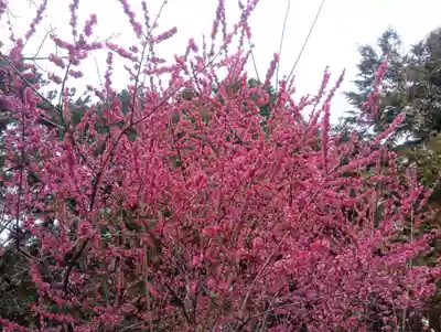 加納天満宮(岐阜県)