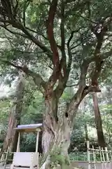 小國神社(静岡県)