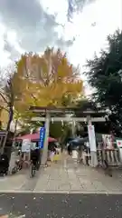 鳩森八幡神社の七五三参