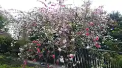 鳩ヶ谷氷川神社の庭園