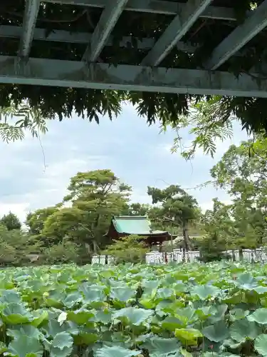 旗上弁財天社(神奈川県)
