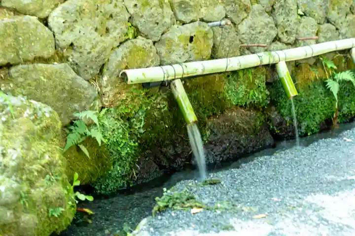 富士山本宮浅間大社(静岡県)