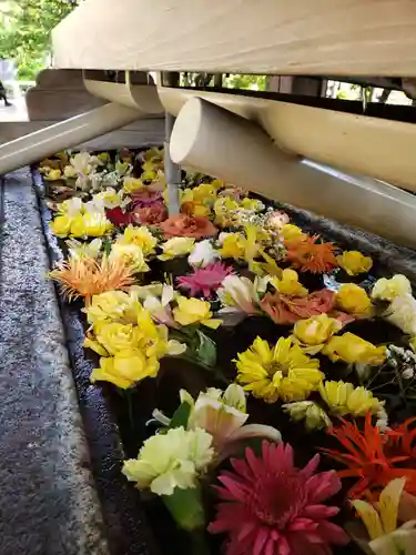 鳩森八幡神社の手水舎