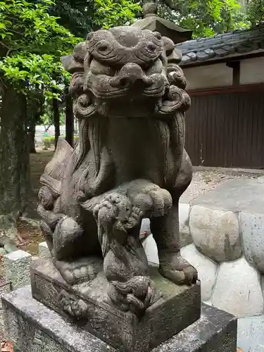 尾張神社（小針）の狛犬