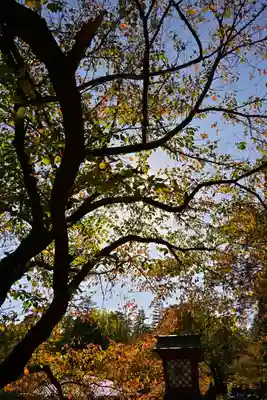 彌彦神社(新潟県)