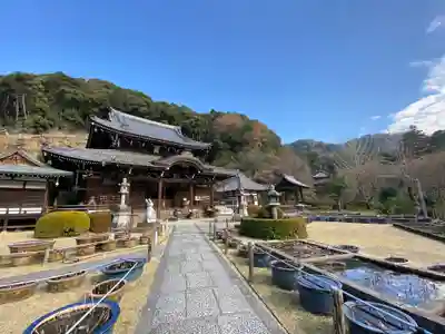 三室戸寺(京都府)