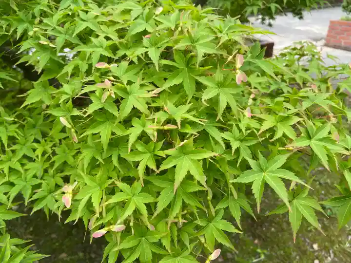 應仁寺(愛知県)