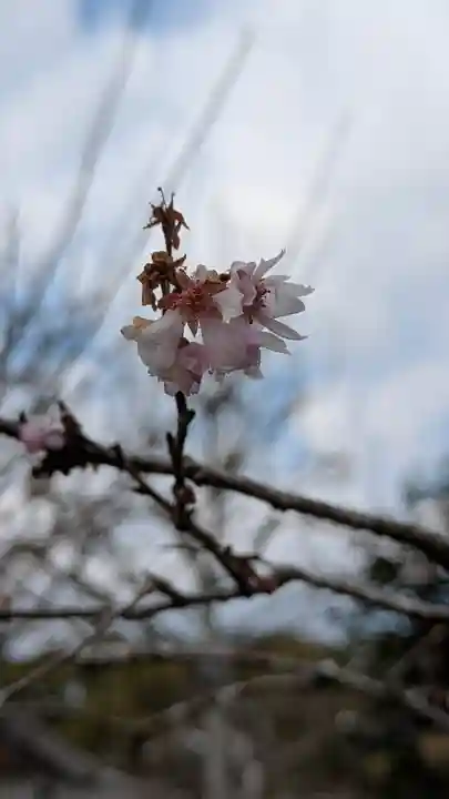 惠心院(恵心院)(京都府)