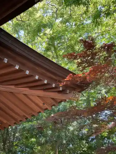 昊天宮の{uncategorized: "未分類", other: "その他", undefined: "問題あり", building: "その他建物", grave: "お墓", sacred_gate: "鳥居", guardian: "狛犬", statue: "像", buddha: "仏像", history: "歴史", nature: "自然", garden: "庭園", animal: "動物", pagoda: "塔", temizu: "手水舎", mountain_gate: "山門・神門", sanctuary: "本殿・本堂", subordinate: "末社・摂社", art: "芸術", scenery: "景色", jizo: "地蔵", ema: "絵馬", goshuin: "御朱印", omikuji: "おみくじ", items: "授与品その他", amulet: "お守り", goshuincho: "御朱印帳", eats: "食事", festival: "お祭り", votive_dance: "神楽", shichigosan: "七五三参", wedding: "結婚式", experience: "体験その他", initially: "初詣", around: "周辺", anti_infection: "感染症対策"}