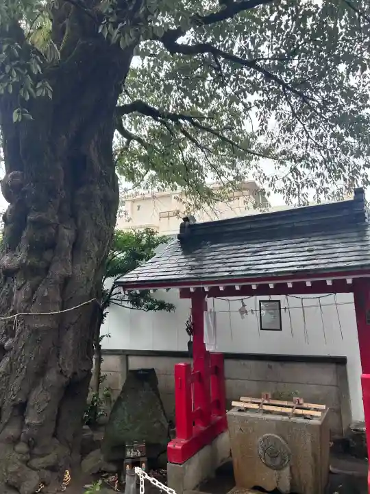 笠森稲荷神社(東京都)