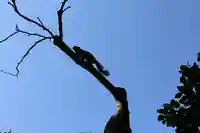 宝戒寺(神奈川県)