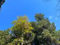 大宮温泉神社(栃木県)