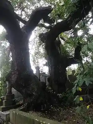 日輪寺(福島県)