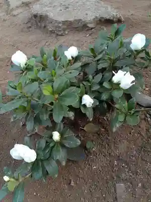 伏木香取神社(茨城県)