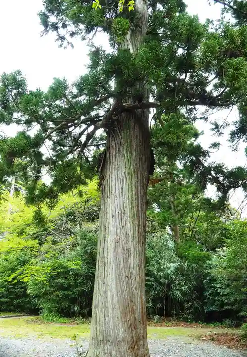 鳥海山大物忌神社吹浦口ノ宮の自然