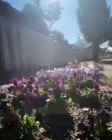 秋葉神社の自然