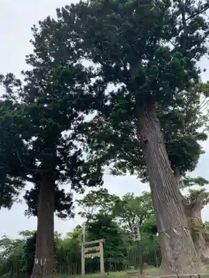鹿島神社(千葉県)
