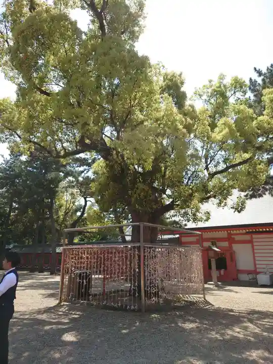 住吉大社(大阪府)