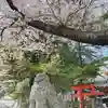 玉前神社の狛犬