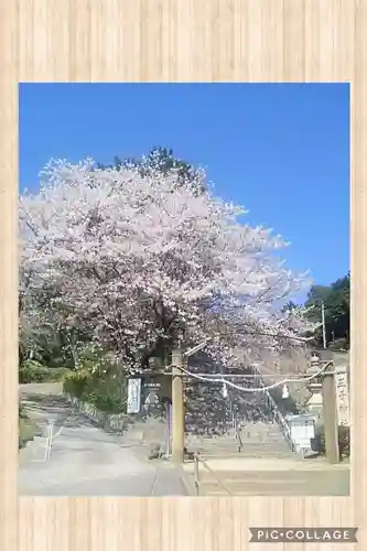 一王子神社の鳥居