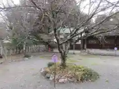 平野神社(京都府)