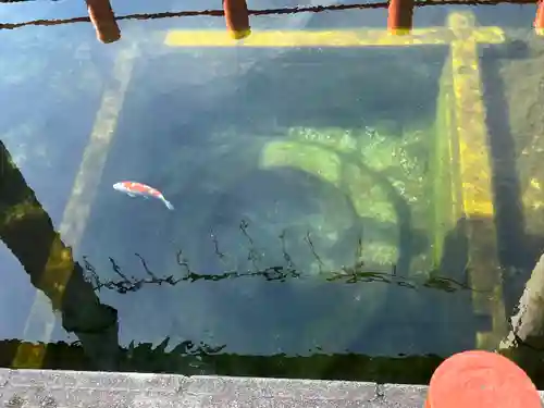 息栖神社(茨城県)
