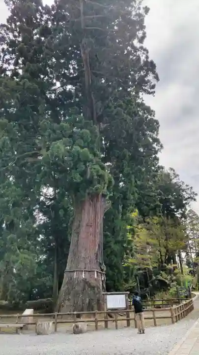 清澄寺(千葉県)
