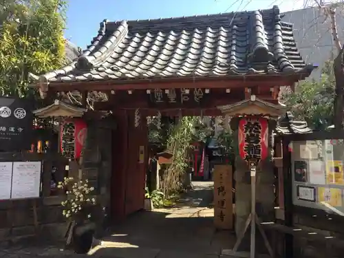 陽運寺の山門・神門