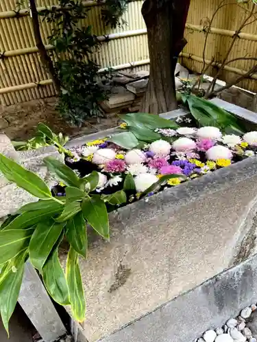 清浄寺(矢場地蔵)の手水舎