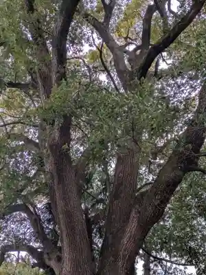 高野山真言宗 愛宕山上福院龍泉寺(三重県)